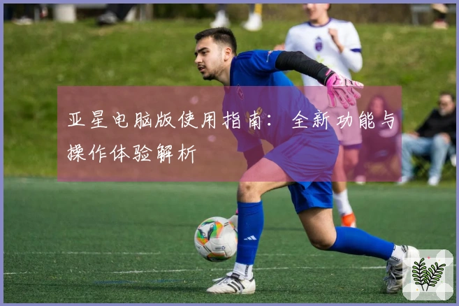 亚星电脑版使用指南:全新功能与操作体验解析