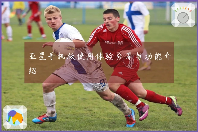 亚星手机版使用体验分享与功能介绍