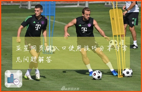 亚星网页版入口使用技巧分享与常见问题解答